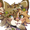 shaded shaded